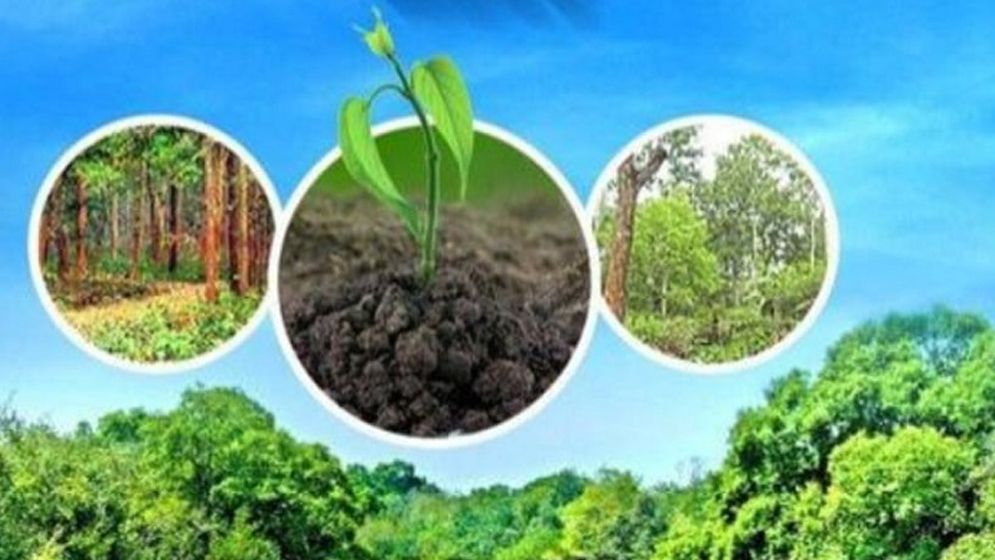 সবুজ রেনেসাঁ এবং আগামীর বাংলাদেশ
