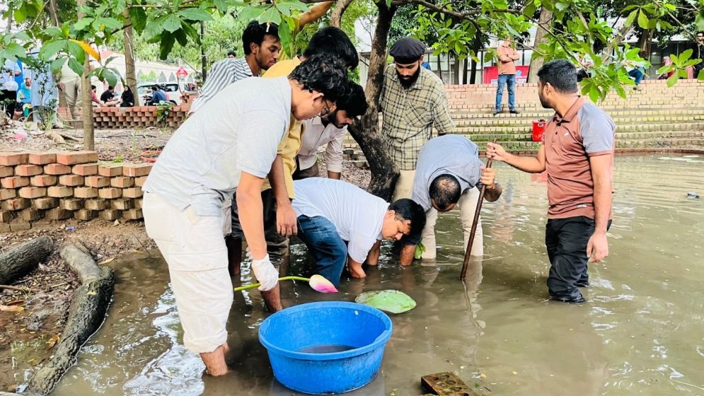 ঢাবিতে জলাধার পরিষ্কার ও পদ্ম ফুলের চারাসহ ছাত্রদলের বৃক্ষরোপণ