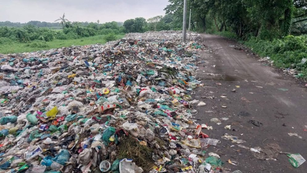 দোহারে রাস্তায় ফেলা হচ্ছে পৌরসভার ময়লা