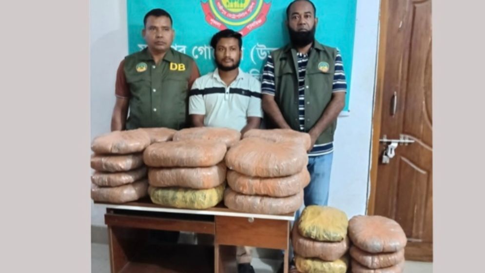গাজীপুরে দেড় মণ গাঁজাসহ মাদককারবারি গ্রেফতার