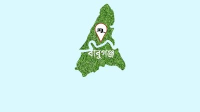 বাবুগঞ্জে অবিবাহিত বাকপ্রতিবন্ধী তরুণীর সন্তান প্রসব, এলাকায় চাঞ্চল্য