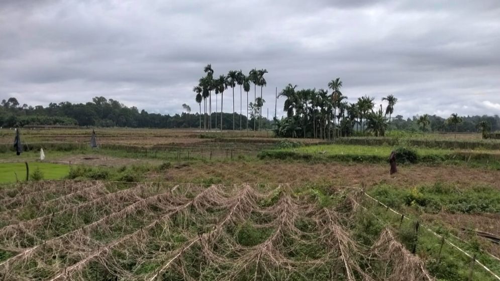 বাঁশখালীতে বন্যায় ২৬ হাজার কৃষকের ৫৫ কোটি টাকার ক্ষয়ক্ষতি
