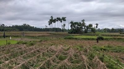 বাঁশখালীতে বন্যায় ২৬ হাজার কৃষকের ৫৫ কোটি টাকার ক্ষয়ক্ষতি