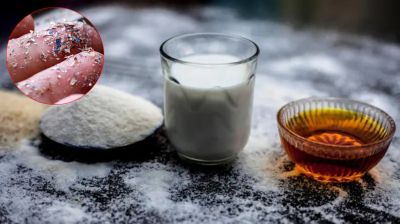 তেল, দুধ, চিনি থেকে কতটা মাইক্রোপ্লাস্টিক আপনার শরীরে ঢুকছে?