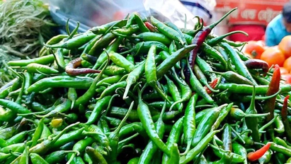 হু হু করে বাড়ছে কাঁচামরিচের দাম