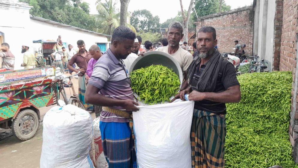 নওগাঁয় পাইকারিতে বেড়েছে কাঁচা মরিচের ঝাঁজ