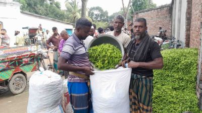 নওগাঁয় পাইকারিতে বেড়েছে কাঁচা মরিচের ঝাঁজ