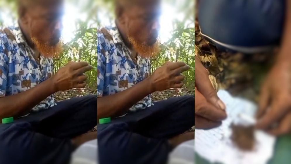 বিএনপি নেতার গাঁজা-ইয়াবা সেবন, ভিডিও ভাইরাল