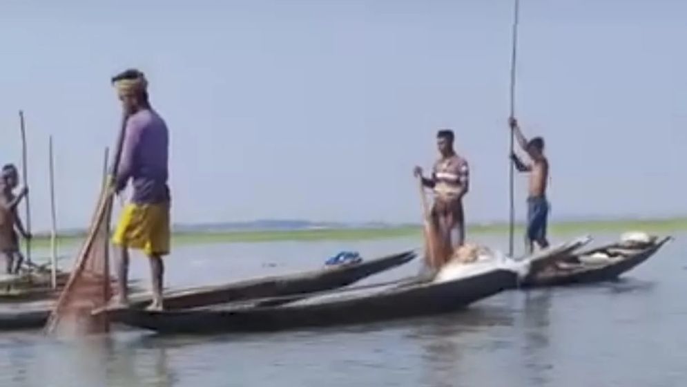 শামুক তুলতেও দিতে হয় চাঁদা!