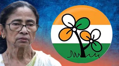 জোড়াফুল প্রতীক হারালে কী করবেন মমতা?