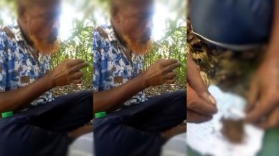 বিএনপি নেতার গাঁজা-ইয়াবা সেবন, ভিডিও ভাইরাল