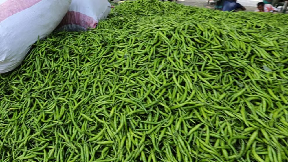কাঁচামরিচ আমদানির অনুমতি