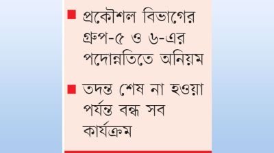 বিমানে সব ধরনের পদোন্নতি স্থগিত