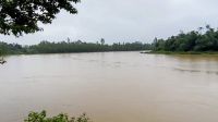 শেরপুরে পাহাড়ি ঢলে চেল্লাখালী নদীর পানি বিপৎসীমার ওপরে