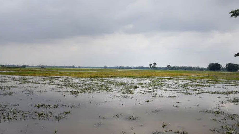 বগুড়ায় হবে ৪০০ একরের শিল্পপার্ক