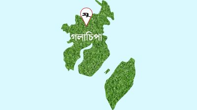 সাপের কামড়ে বিএনপি নেতার মৃত্যুতে তদন্ত কমিটি গঠন
