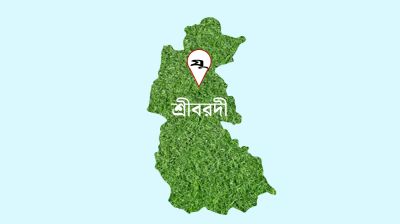 শ্রীবরদী উপজেলা নির্বাহী কর্মকর্তার সিএ ইনসানের কাণ্ড
