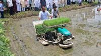 নিজেই রাইস ট্রান্সপ্লান্টার চালিয়ে আমন চারা রোপণ করলেন এমপি