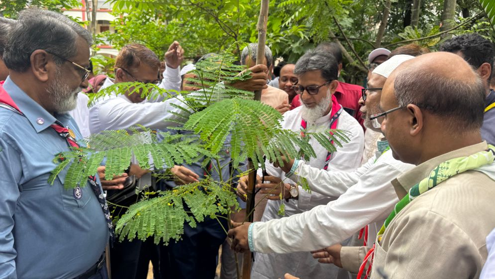 প্রত্যেকে একটি করে গাছ লাগিয়ে পরিচর্যা করুন: প্রতিমন্ত্রী হাবিবুর রশিদ