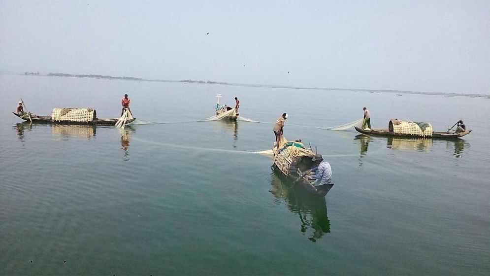 কাপ্তাই হ্রদে মাছ শিকারের নিষেধাজ্ঞা প্রত্যাহার, স্বস্তিতে জেলেরা