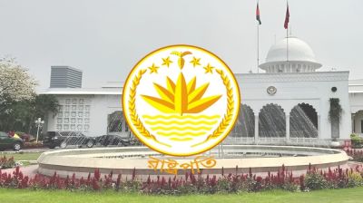 বাংলাদেশের রাষ্ট্রপতি কী দায়িত্ব পালন করেন, তার ক্ষমতা কতটুকু?
