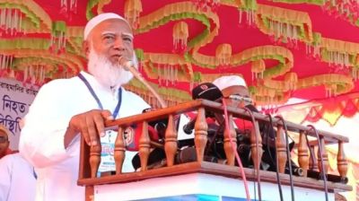 বিএনপি তাদের খেয়াল-খুশিমতো দেশ চালাচ্ছে: জামায়াত আমির