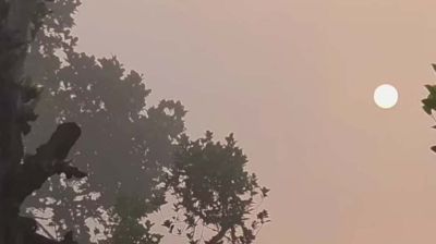 বর্ষার বিদায় বেলায় কুয়াশার চাদরে ঢাকা ভোরের ঠাকুরগাঁও
