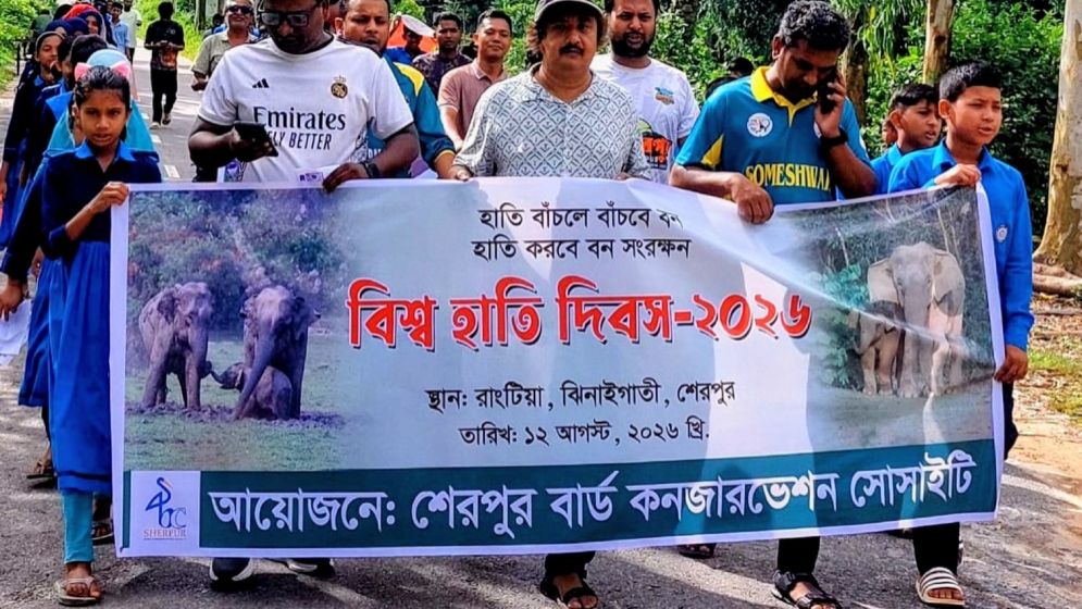 একটি পূর্ণবয়স্ক হাতির রোজ কী পরিমাণ খাবার ও পানি লাগে?
