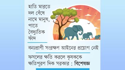 অত্যাচারে বিপন্ন হাতি