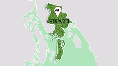 মিয়ানমারে পাচারকালে ৭৬০ বস্তা সার জব্দ, গ্রেফতার ৫