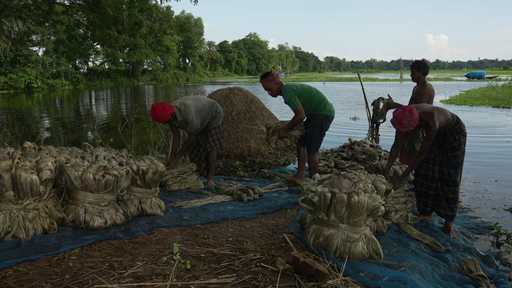 ঋতুরানীর আবির্ভাবে সাজছে প্রকৃতি