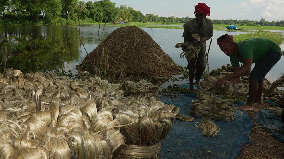 ঋতুরানীর আবির্ভাবে সাজছে প্রকৃতি