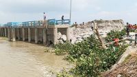 যমুনা নদীর ভাঙন কবলে হাসনাপাড়া স্পার