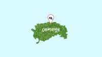 যশোরে ককটেল বিস্ফোরণ, আহত ১