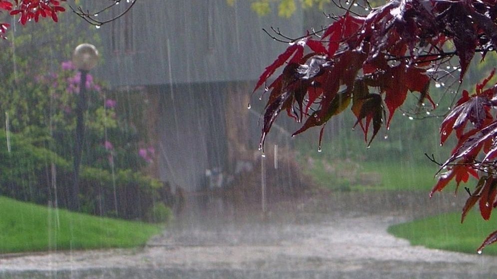 দেশের বিভিন্ন বিভাগে ভারি বৃষ্টির শঙ্কা