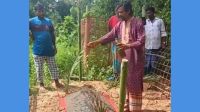 দাফনের দুদিন পর হাসনাকে ‘জীবিত’ করার চেষ্টা!