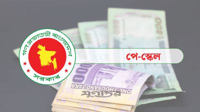 সরকারি চাকরিজীবীদের মূল বেতন সর্বোচ্চ ১০০ শতাংশ বাড়ানোর সুপারিশ
