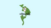 ঘুমধুম সীমান্তে মালিকবিহীন ২ লাখ ইয়াবা উদ্ধার