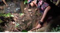 সাতছড়িতে মাটির নিচে মিলল ৬ পিস্তল, ৭ ম্যাগাজিন ও গুলি