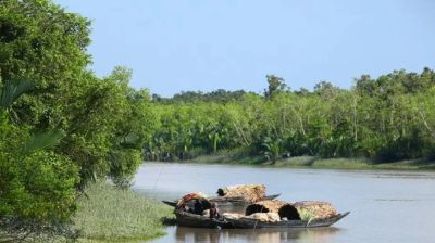 সুন্দরবনে দস্যুতা ফিরলেও ঘুমিয়ে র‌্যাব