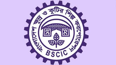 লবণ চাষে ব্যবহৃত কুতুবদিয়ার ১১৩.৫৬ একর জমি বিসিকের অনুকূলে হস্তান্তরের উদ্যোগ