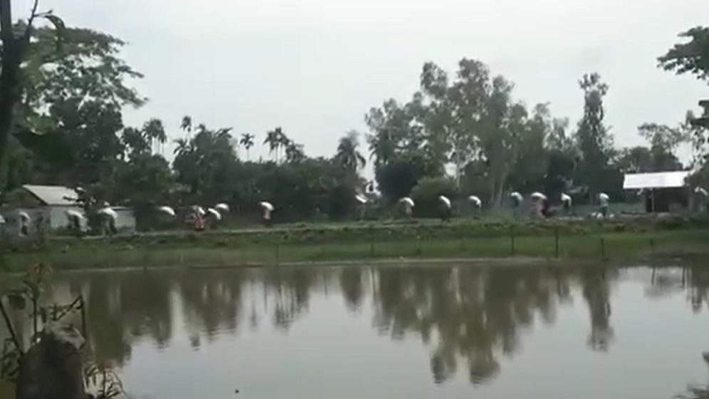 গোডাউন ভেঙে ১৯৭ বস্তা সার নিয়ে গেলেন কৃষকরা