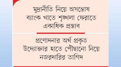 টাকা যাবে কার পকেটে প্রশ্ন সংসদীয় কমিটির