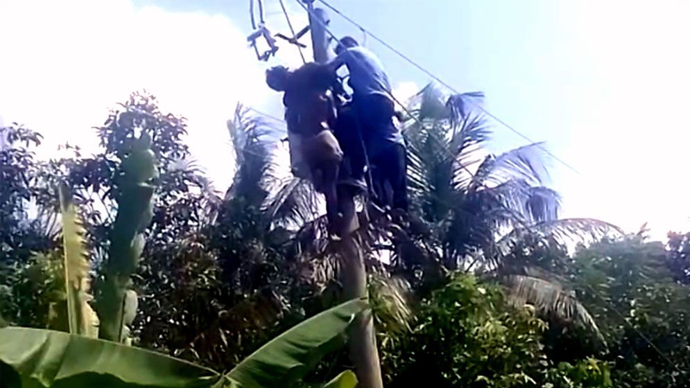 মাগুরায় পল্লী বিদ্যুতের লাইনে ভ্যানচালকের মৃত্যু, দুই কর্মচারী বরখাস্ত