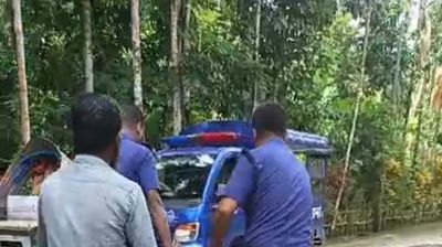 ডাব চুরি করতে গিয়ে ভিমরুলের কামড়, সারারাত গাছতলায় পড়েছিলেন যুবক