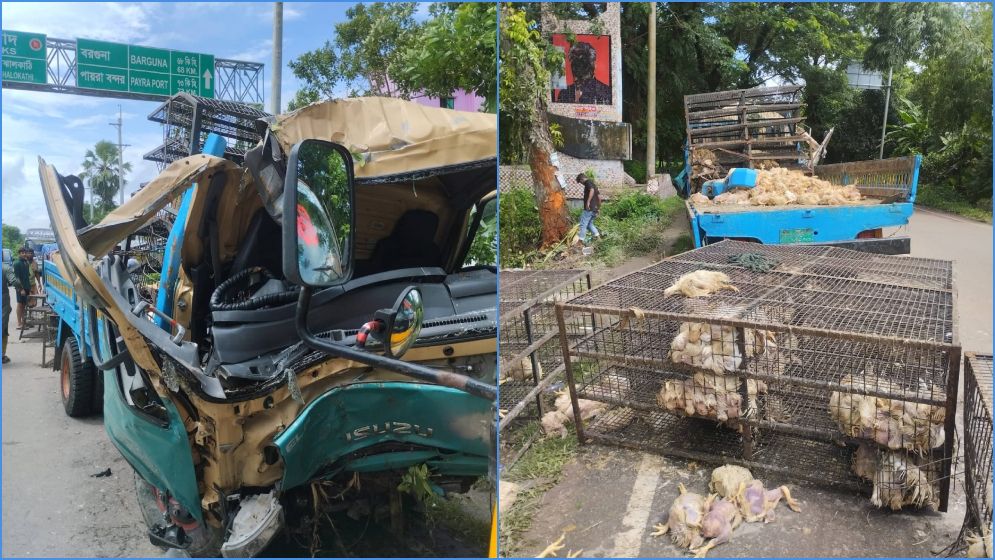 গাছে পোল্ট্রি মুরগিবাহী পিকআপ ভ্যানের ধাক্কা, নিহত ১