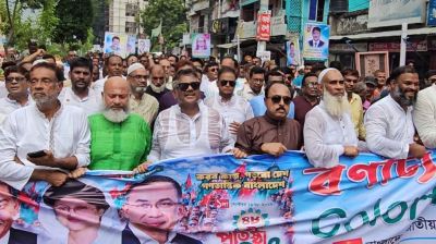 বিএনপিকে যারা শেষ করতে চেয়েছে তারাই ধ্বংস হয়ে গেছে: দুলু