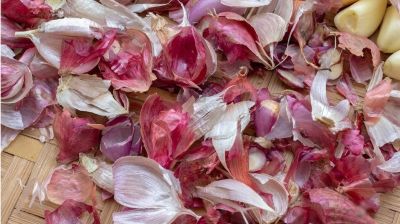 পেঁয়াজ-রসুনের খোসা কাজে লাগান ৪ উপায়ে