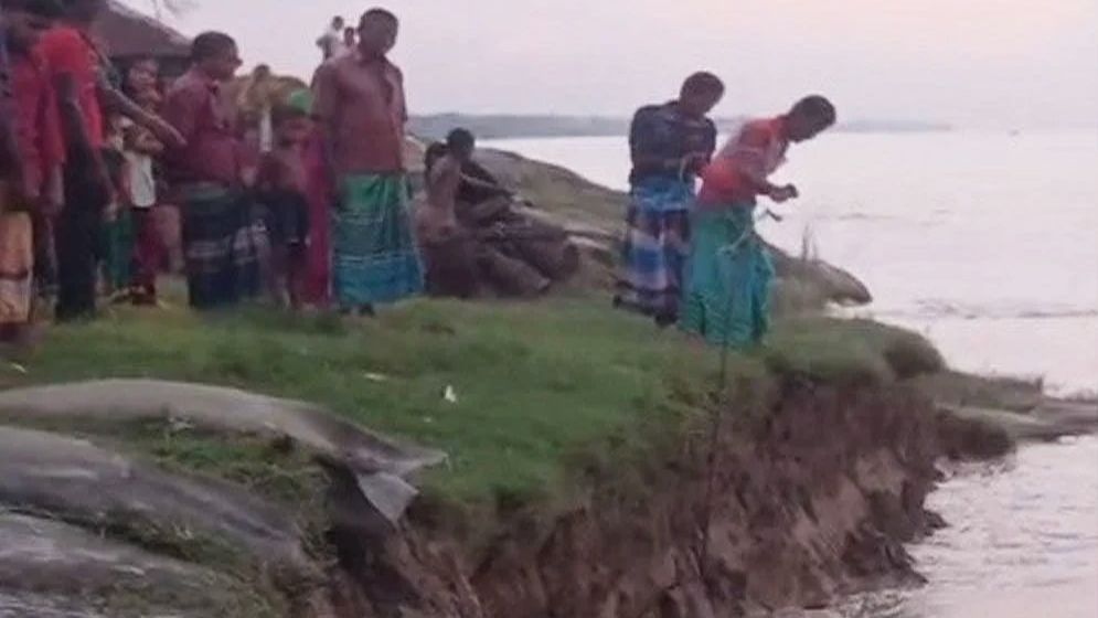 গোয়ালন্দে জিওব্যাগেও থামছে না ভাঙন, ঝুঁকিতে কবরস্থান বাজার স্কুলসহ কয়েকশ পরিবার