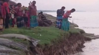 গোয়ালন্দে জিওব্যাগেও থামছে না ভাঙন, ঝুঁকিতে কবরস্থান বাজার স্কুলসহ কয়েকশ পরিবার